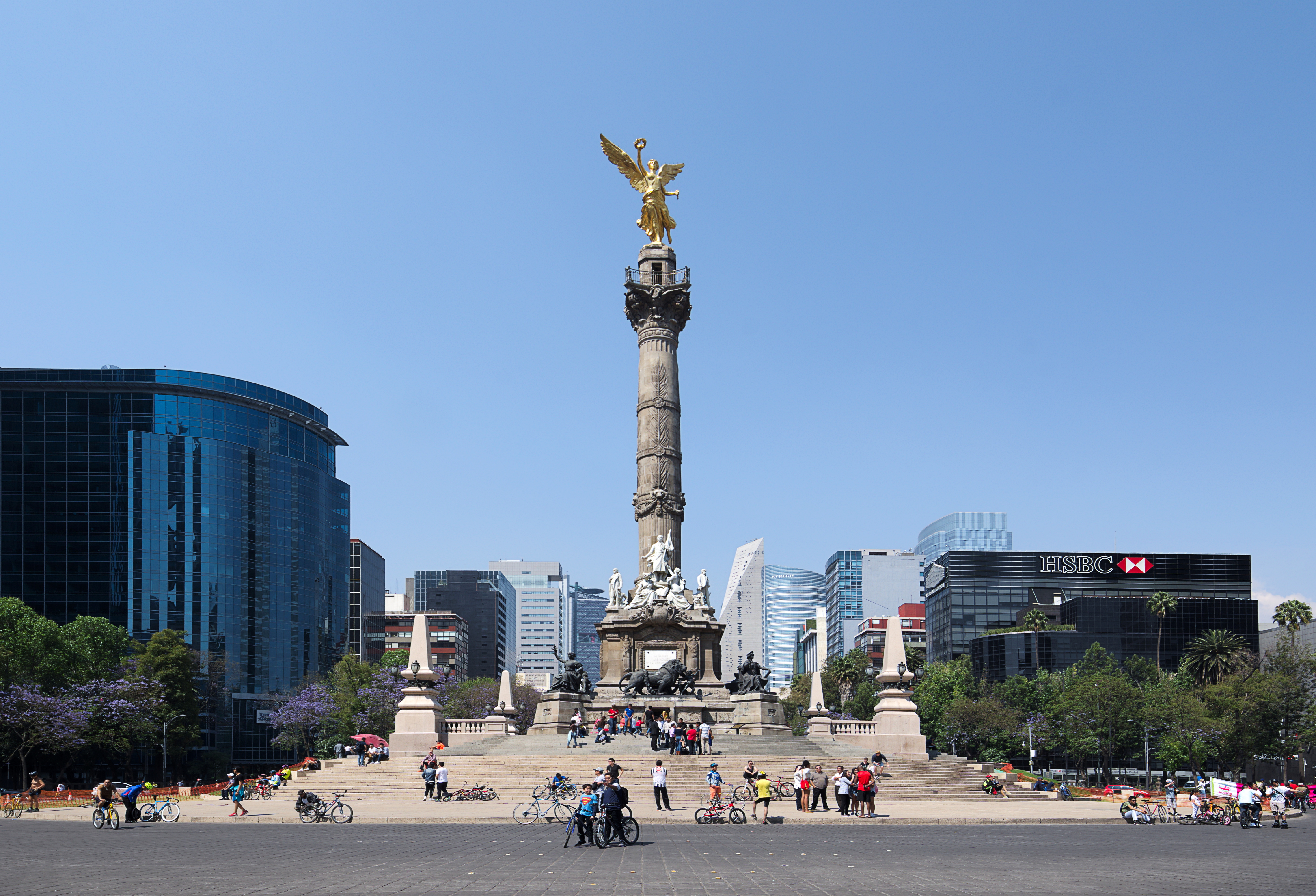 Tribu Halo · CDMX