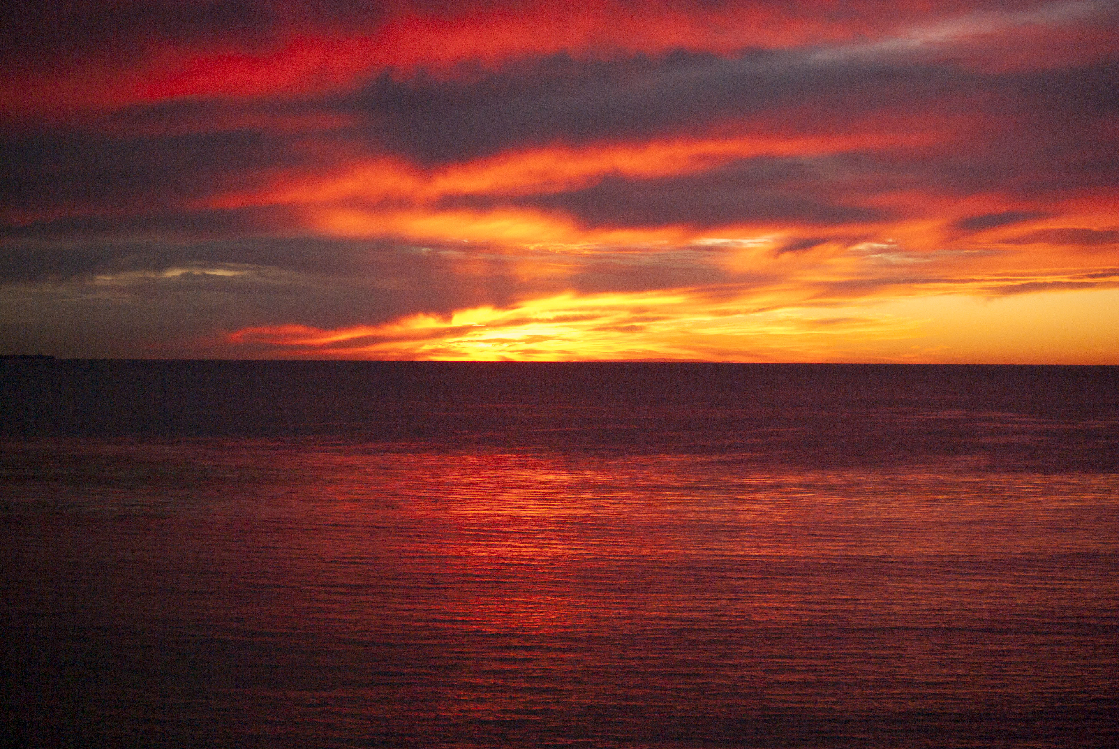 Tribu Halo · Ensenada