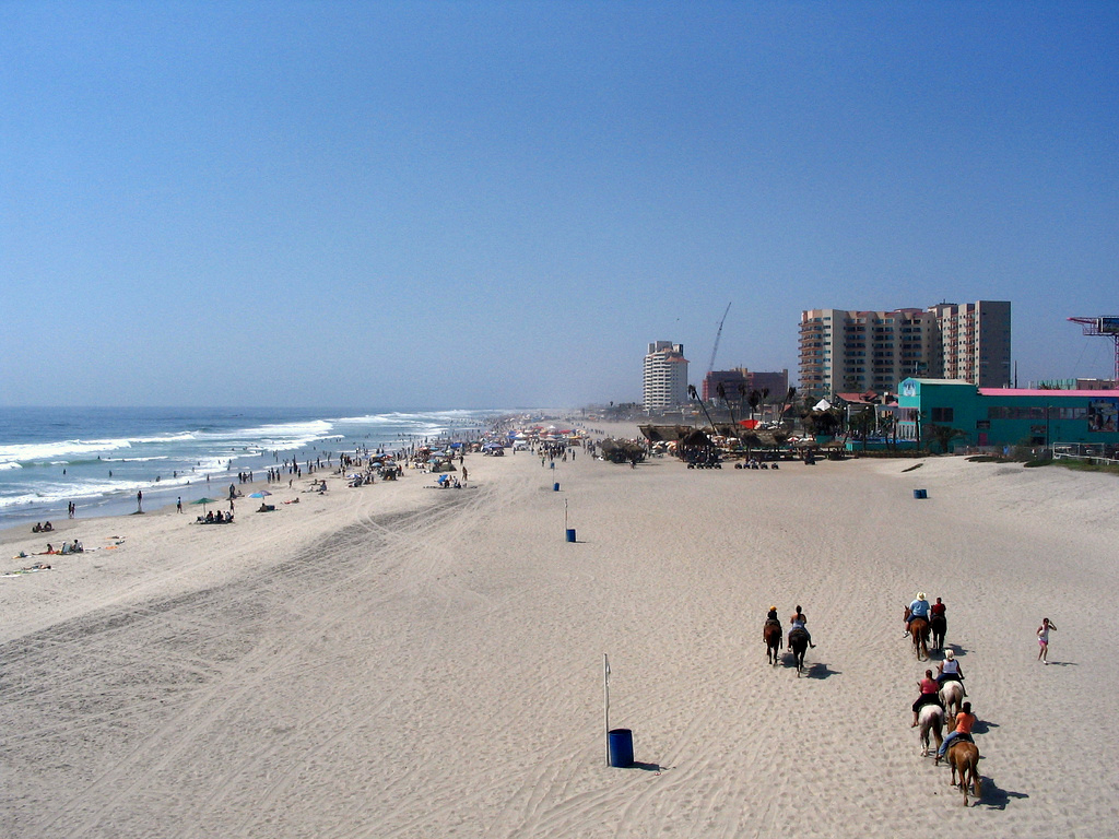 Tribu Halo · Rosarito