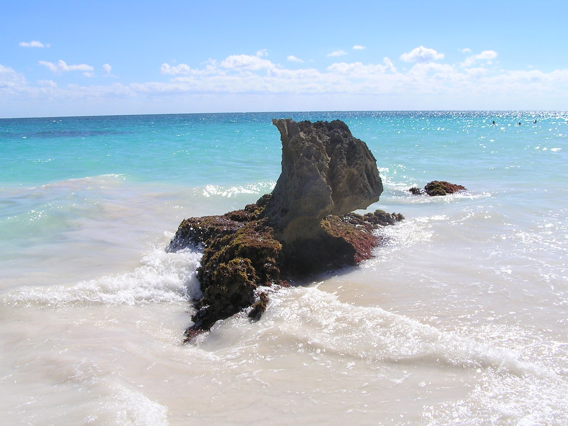 Tribu Halo · Tulum