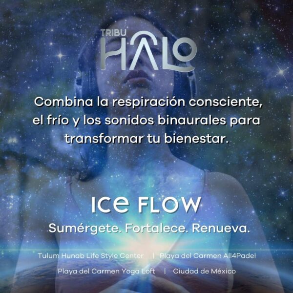 Ice Flow