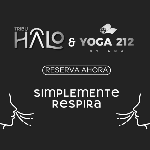 Quantum Flow en Yoga 212